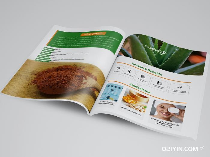 南京畫冊印刷  第2張