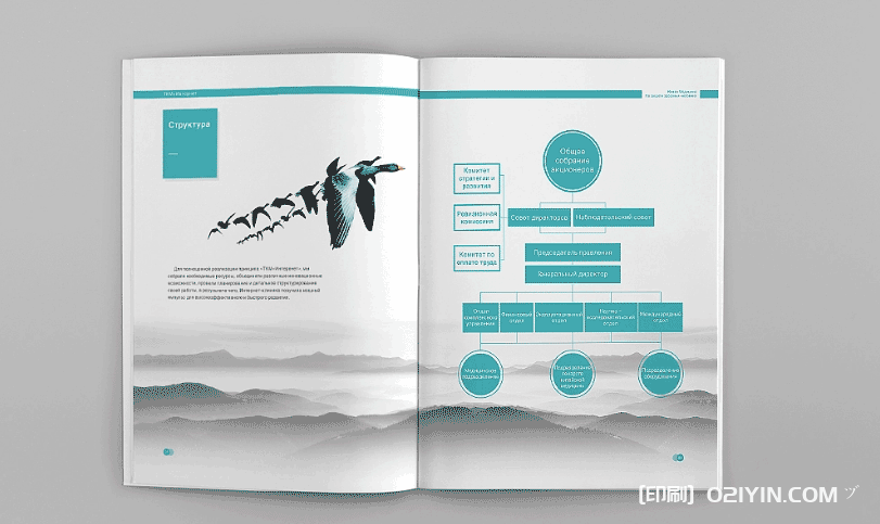 上海進口醫(yī)療醫(yī)藥畫冊印刷  第3張