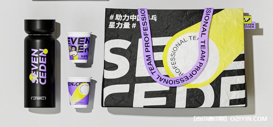 體育教育類品牌VI系統標志設計  第4張