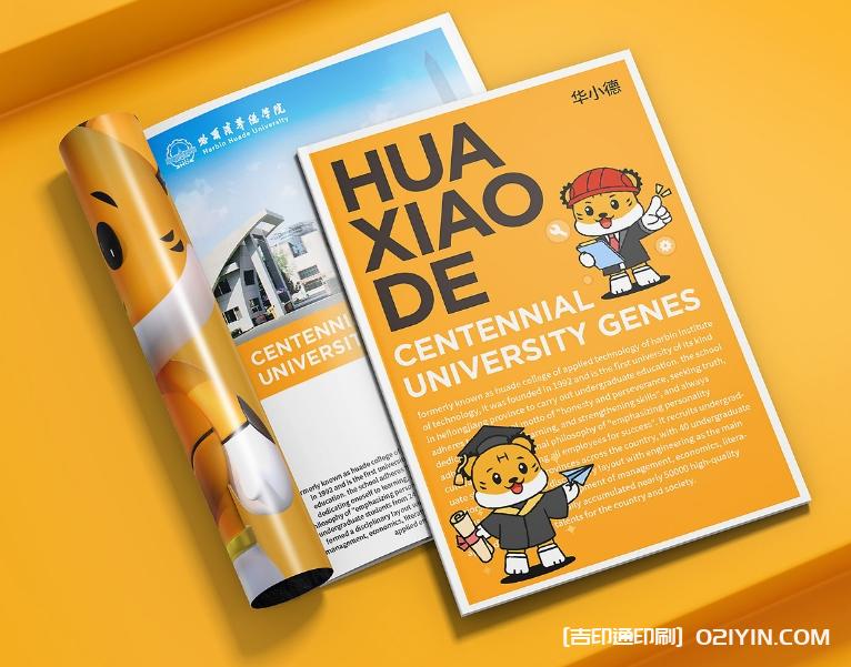 智能科技產品手冊設計印刷 第4張 智能科技產品手冊設計印刷 第4張