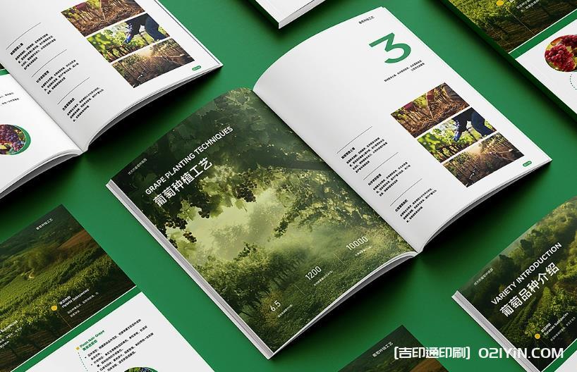 上海企業(yè)畫冊印刷專家：從設(shè)計到成品，一站式品質(zhì)服務(wù)